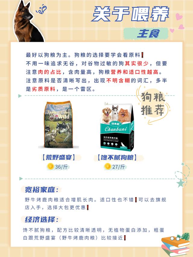 德国牧羊犬好养吗，德国牧羊犬好养吗怎么养（德牧经济喂养攻略分享）