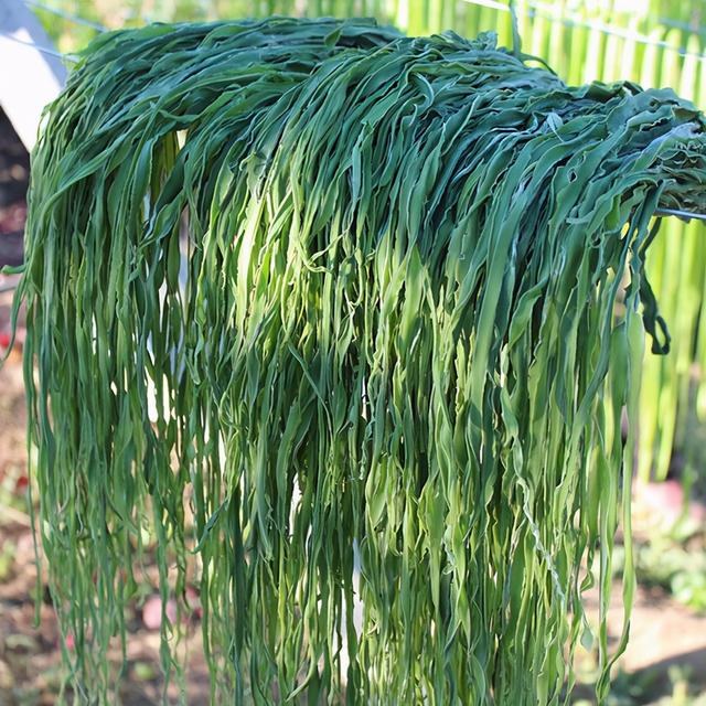 贡菜是什么菜图片，贡菜是什么菜（它与莴笋的区别在哪里）