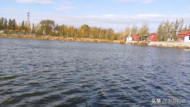 路亚钓鱼用什么假饵好，路亚钓鱼都是用假饵吗（亮片三种经典仿鱼型拟饵的优劣以及功用）