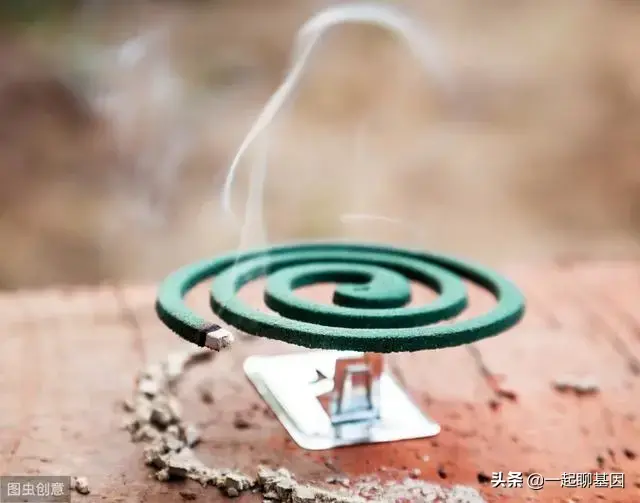 点蚊香多久可以杀死蚊子，蚊香多久能把蚊子熏死（只需5分钟蚊子消失殆尽）