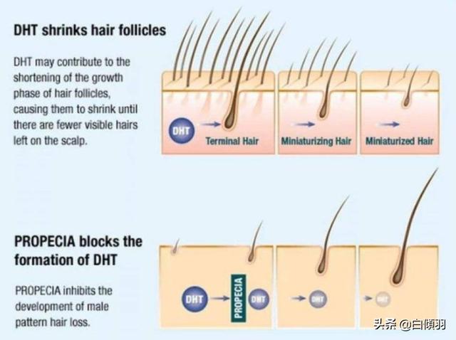 女人经常熬夜的8个坏处，女性熬夜的8大危害（绝对都是女生不可承受的生命之痛）