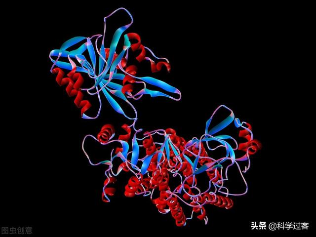 atp合成场所，ATP在哪里合成（仿生机器人、轮子和ATP合酶——漫谈仿生学）
