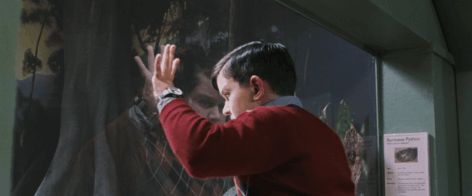 哈利波特与魔法石简介，哈利波特与魔法石小说简介（《哈利·波特与魔法石》的这些奇妙瞬间）