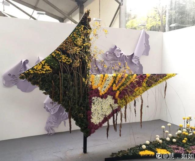 荷花有几种颜色，莲花有几种颜色分别是象征什么（1盆菊花售价1.2万）