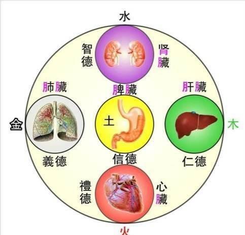 五行属金最吉利简单好听的字，好听吉利的五行属金名字（那么你知道五行学说到底起源于何时）