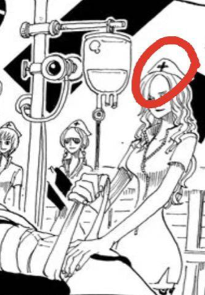 昙花的花语和象征意义，昙花的作用与功效（昙花虽片刻凋零然其根未毁—从角色入手浅析罗“死亡说”的概率）