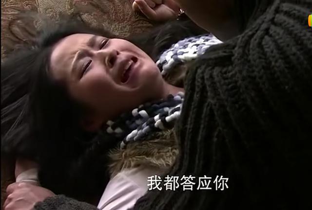千山暮雪剧情介绍，千山暮雪/莫绍谦