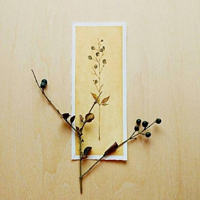 人生就像茶几(我的人生就像茶几)