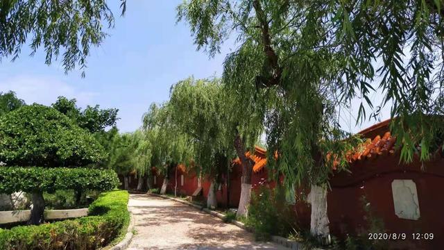 爱咬吸管的女生，为什么喜欢咬吸管（“咬吸管”引起的爱情悲剧）
