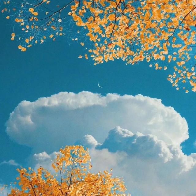 微信壁纸图片大全，微信背景图片（微信朋友圈背景图<60张>）