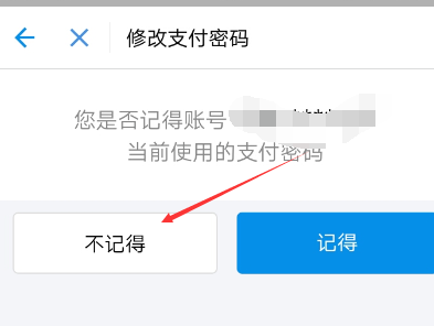 支付宝支付密码，支付宝支付密码怎么设置（支付宝支付密码忘了怎么办）