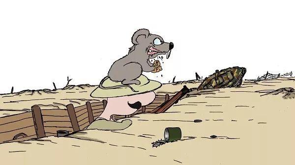 带子和扇贝的区别，带子和扇贝有什么区别（可你知道它前世今生的冷知识吗）