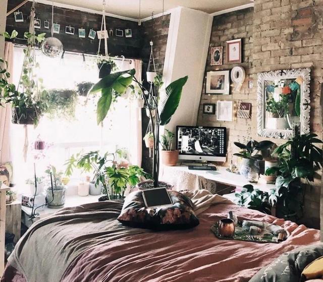 虎刺梅生虫怎么解决，虎刺梅长虫子怎么办（离太近都不好）