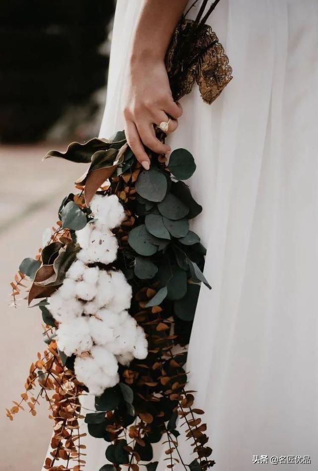 棉花花语和寓意是什么，棉花花语（花店老板娘手中的棉花）