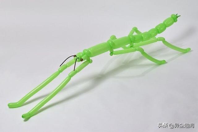 用气球做小动物教程，教你用气球做小狗的方法（日本艺术家用气球制作了令人难以置信的动物模型）