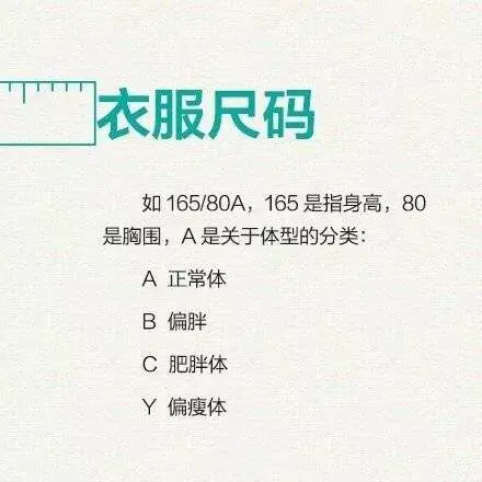 t恤衫尺码(t恤尺码4850525456)