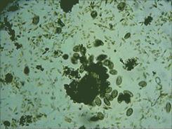 黄油保质期一般多久，润滑黄油保质期一般多久（有人吃了一年依然存活）