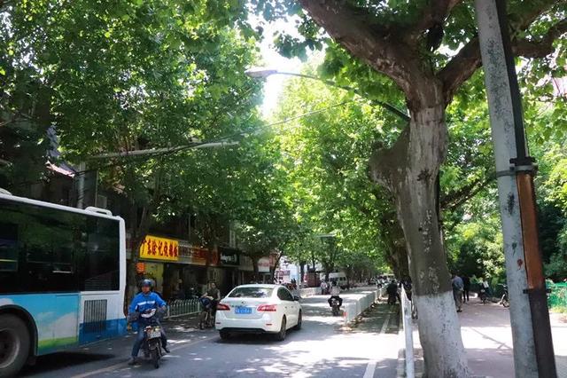 武汉奓山有什么好玩的，武山有啥好玩的（越分不清那些“路”）