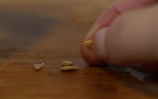 火参果怎么吃好吃，火参果怎么吃什么味道（爆红灭霸果<火参果>）