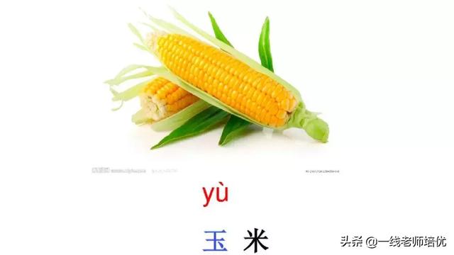 音序是什么?音节又是什么，音序是什么（小学汉语拼音——整体认读音节）