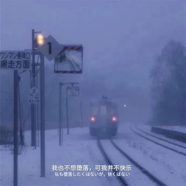 网抑云经典抑郁语录有哪些，网抑郁的语录（网抑云文案：我也不想堕落）