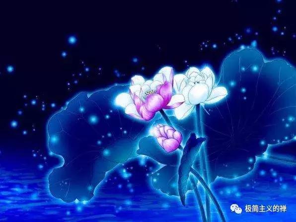 妙湛总持不动尊是什么意思，妙沾总持不动尊（问禅：业力是个什么鬼）