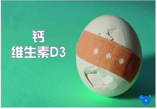 守宫吃什么，守宫能吃蔬菜和水果吗（守宫为什么要吃钙粉）