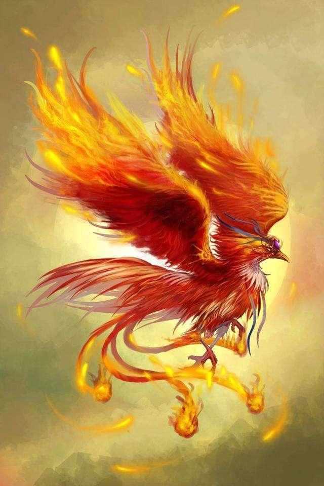 双子座的守护神兽，双子座的守护动物是什么（快来看看谁是守护你的神兽吧）