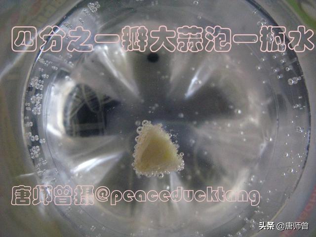 蛆长大了变成什么，20201204唐师曾