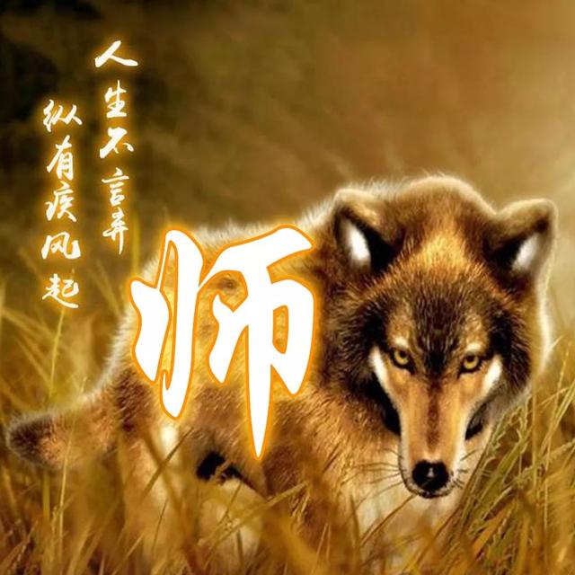 狼图片头像 凶猛 霸气 冷酷，100张姓氏霸气狼头像（100张“血性狼”姓氏头像、送给在困境中坚持梦想的你）