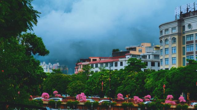 云浮有什么著名的土特产，云浮有什么著名的土特产美食（广东游记：我的云浮旅游攻略）