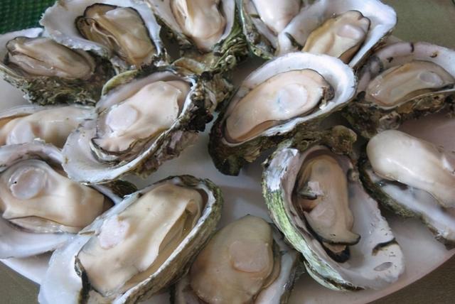 牡蛎怎么做好吃，酱爆生蚝的做法（东盛澜丨牡蛎怎么做好吃）