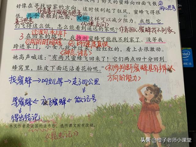 蜜蜂的蜂怎么写，蜂什么意思解释（教师整理笔记认识法布尔）