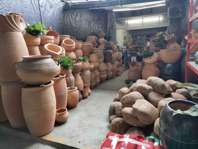 荷花最好看的品种是什么，这花最好看、最好养