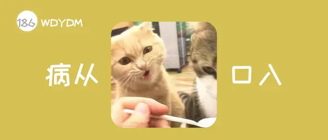 猫吃了韭菜怎么补救，猫不小心吃了韭菜会怎么样（这20种食物对猫有害）