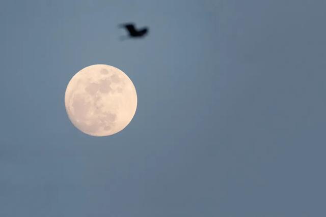 下元节是指哪一天，每年的下元节是哪天（我们还需要下元节吗）