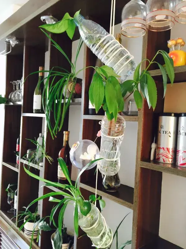 塑料瓶制作花瓶100种，塑料瓶怎么制作成花瓶（旧塑料瓶DIY成手工花瓶）