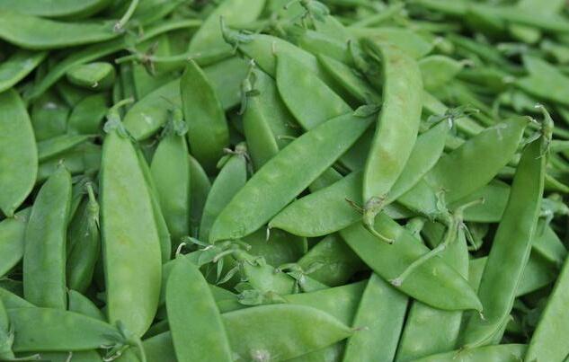 豇豆和豆角的区别，豇豆和豆角的区别