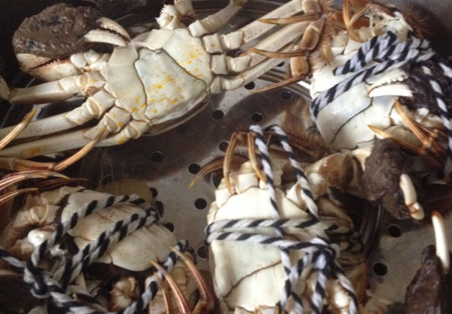 豆腐蟹肉忌廉汤，蟹肉豆腐煲的做法窍门（最爱的蟹黄和豆腐碰撞）