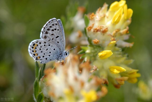 倾怎么组词，倾怎么组词倾斜的倾（心理咨询中的两大技术）