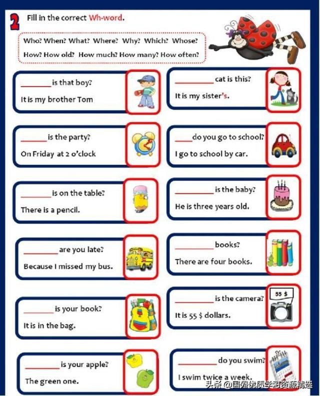 why什么意思,why是什么意思中文(why等的区别和用法)