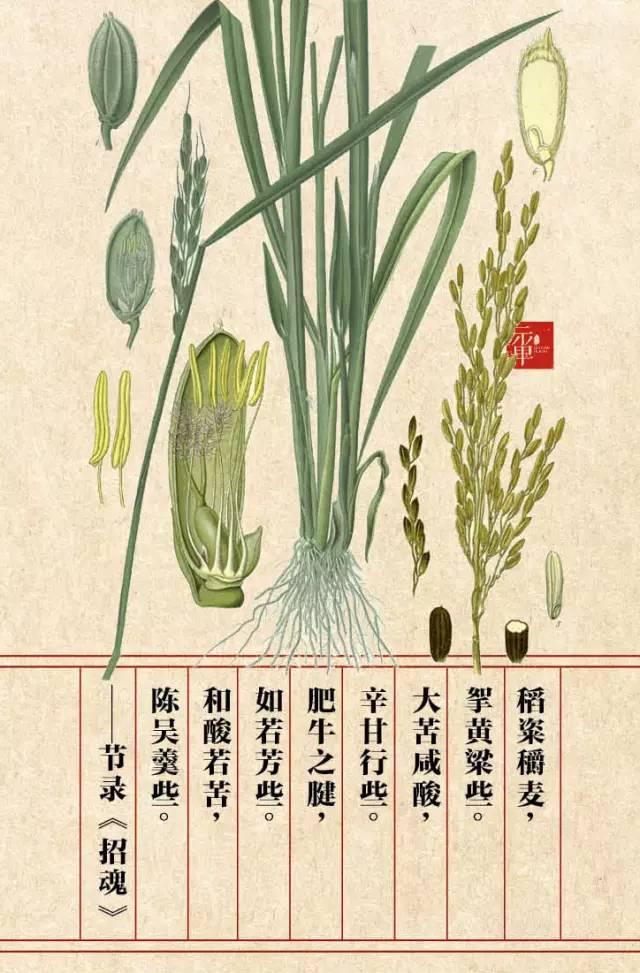 木兰科的常见地被植物有哪些，常绿木兰科植物有哪些（收藏起来留给孩子慢慢看）