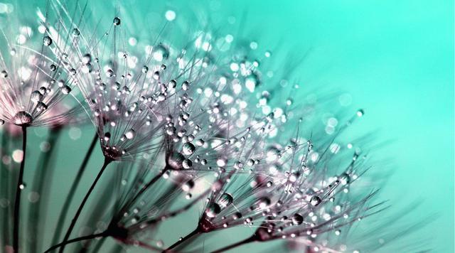 发上指冠造句，发什么的成语是什么（盗跖为什么骂孔子“巧辞谬说”）