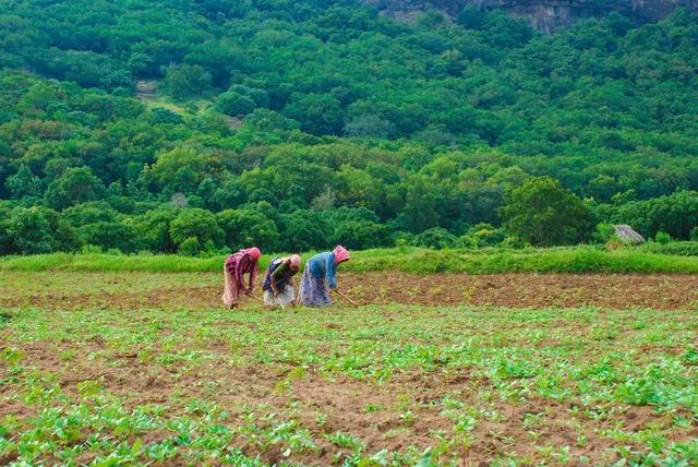 女神节祝福语一句话,女神节祝福语一句话女朋友(2019年女神节短信祝福语) 女神节祝福语一句话,女神节祝福语一句话女朋友(2019年女神节短信祝福语)