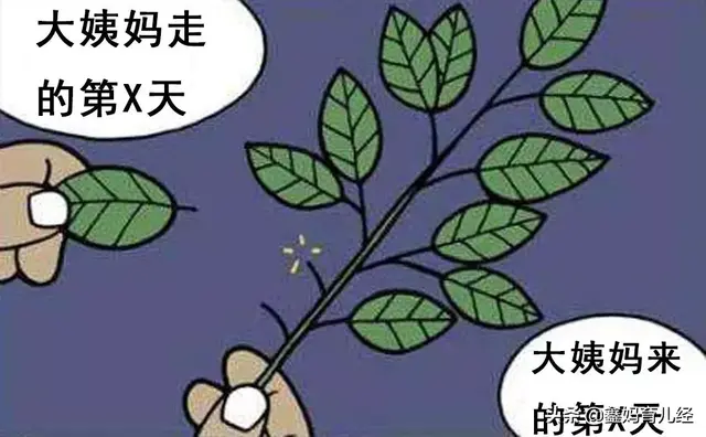 经痛是什么，肋间神经痛是什么（姨妈疼究竟是一种什么样的痛）