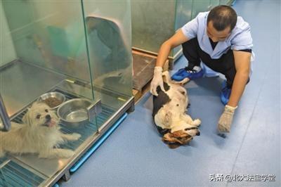 克隆人的坏处，克隆人的坏处用英语说（尚不清楚会产生哪些累积危害）