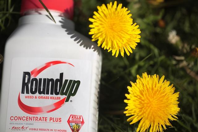 孟山都公司简介，孟山都简介（妄图统治世界的毒公司孟山都）