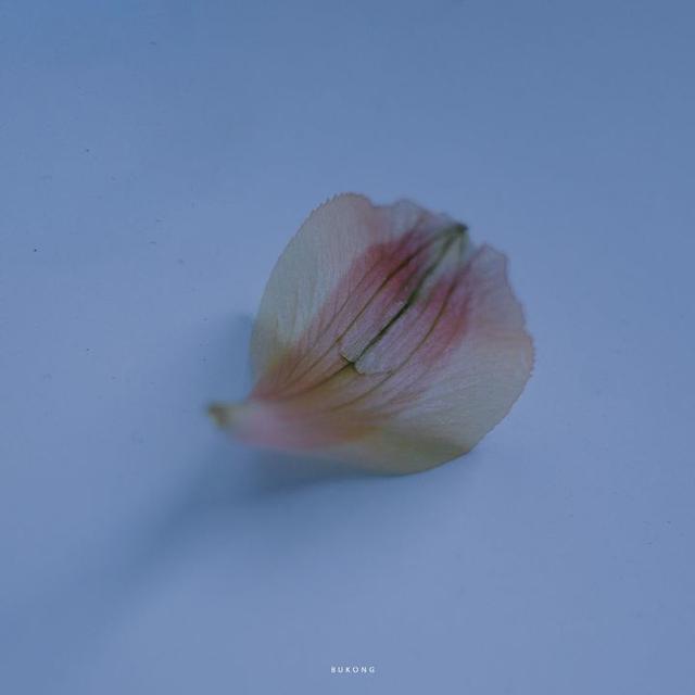 美好阳光且干净的女生头像  星空迷上了山野微信，美好阳光且干净的女生头像  星空迷上了山野，有雾有灯也有归人。（有哪些好看非人物的头像）