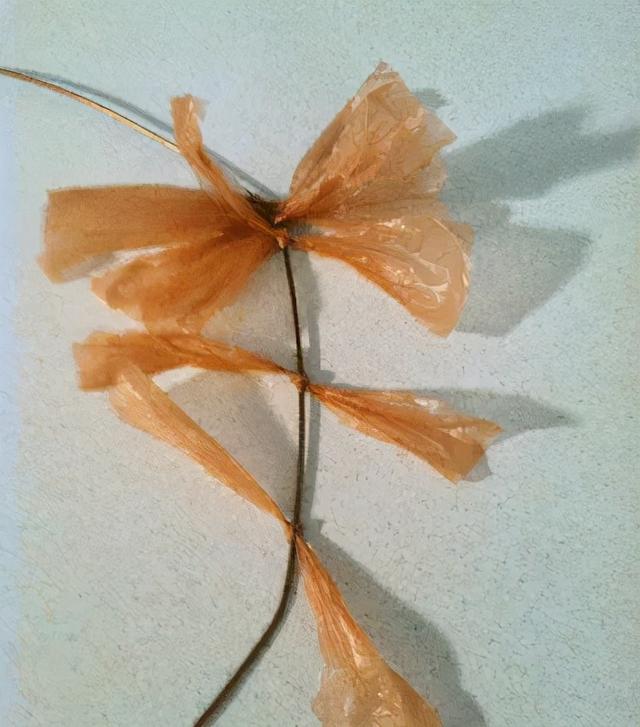 折纸礼物袋制作方法，手工折纸礼袋（天天都用的塑料袋还有这么多玩法）