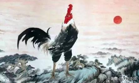 现代画鸡的作者是谁，现代画鸡的作者是谁呀（小学古诗文）